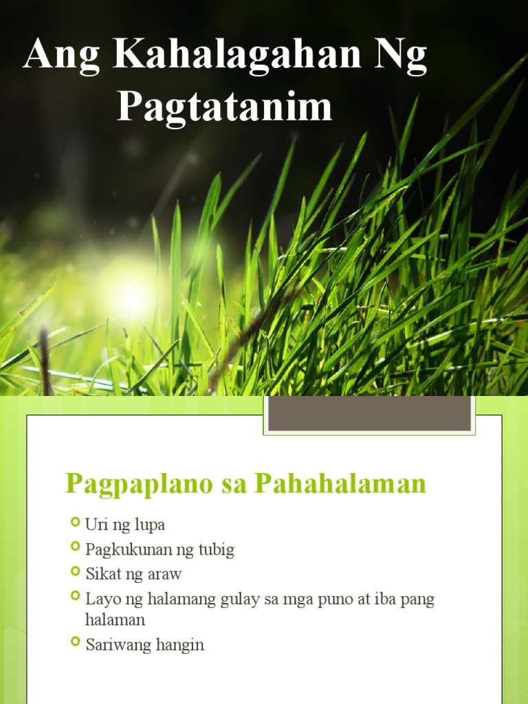 Ang Kahalagahan Ng Pagtatanim