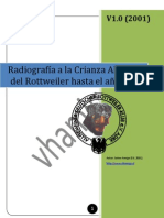 Radiografia A La Crianza Alemana Del Rottweiler Hasta El Año 2000 - Spanish