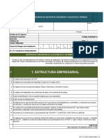 Auditoria de Seguridad y Salud en El Trabajo