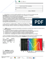 Ficha Formativa Nº9 BIO-GEO