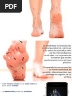  Tipos de Sensibilidad