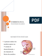 Desenvolvimento dos membros e anomalias embriológicas