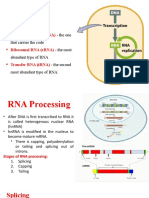 RNA Processing: Splicing, Capping, and Tailing