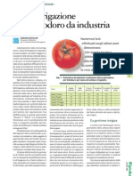 Fertirrigazione Pomodoro Da Industria