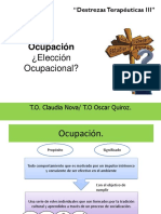 Elecion Ocupacional