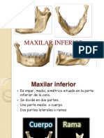 Maxilar Inferior 121006133054 Phpapp01