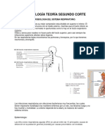 Bacteriologia