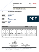 Informe - IRP2021112233