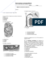 EXAMEN 7° 4p EXCRECION y locomocion y atomo 2019