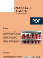 Tecnología de Carnes