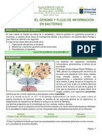 Organización Del Genoma y Flujo de Información en Bacterias (10-12)