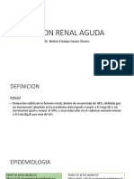 Lesion Renal Aguda: Dr. Nelson Enrique Garcia Álvarez