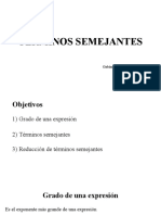 TERMINOS SEMEJANTES 1