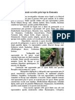 Plante Si Animale Ocrotite Prin Lege in Romania