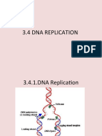 3.4 3.5 DNA Replication Transcription Translation