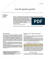 Anatomia Clinica Del Aparato Genital Femenino