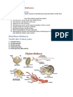 Biologi Nur Ismi Aulia (X Mia 4)