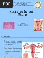 Download Histologia Del Utero by Luis Pealver Sampson SN56704976 doc pdf