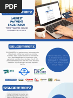 Largest Payment Facilitator: Your Trusted Online Business Partner