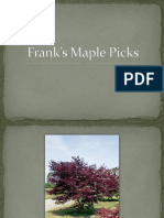 Frank’s Maple Picks PDF