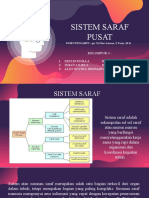 Sistem Saraf Pusat