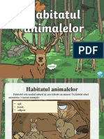 Ro t t 4796 Habitatul Animalelor Prezentare Powerpoint