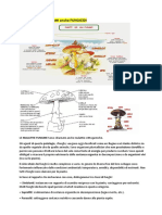 Anticrittogamici Detti Fungicidi Definitivo Stop!