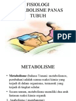 Metabolisme Dan Termoregulasi