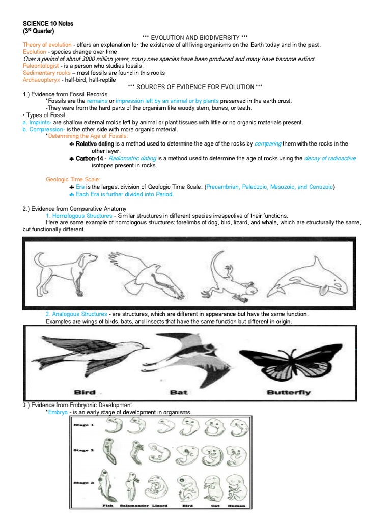 Evolution and Biodiversity Guide | PDF | Fossil | Evolution