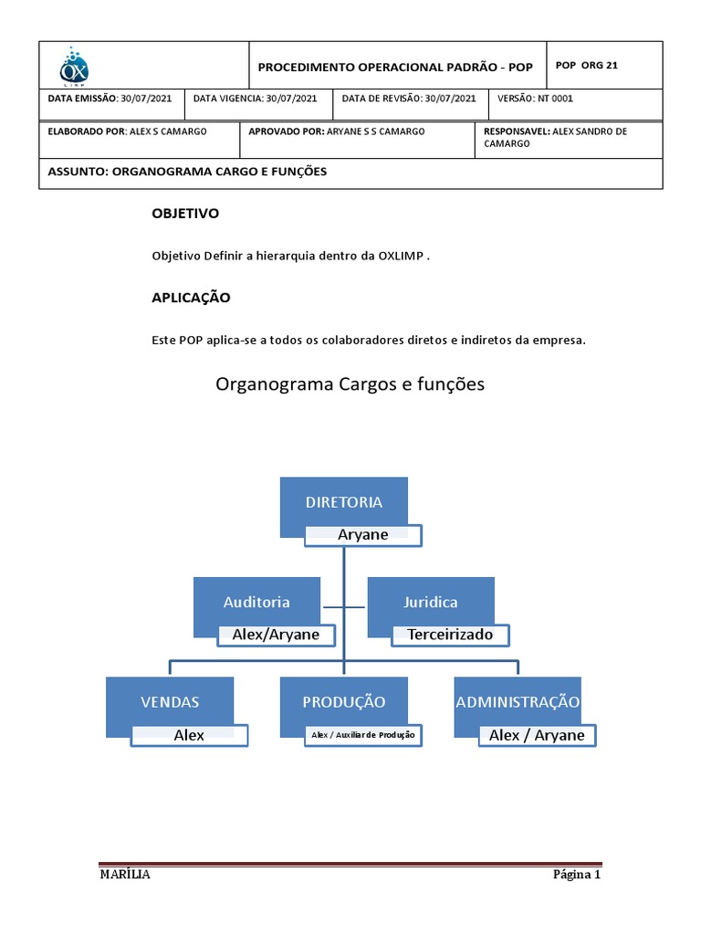 21-organograma-cargos-e-fun-es-pdf-contabilidade-business