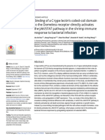 Sun2017 Binding of A C-Type Lectin's Coiled-Coil Domain To The Domeless Receptor Directly Activates The JAKSTAT Pathway in The Shrimp Immune Response