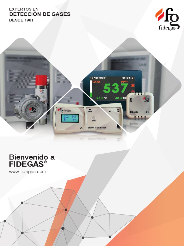 DETECTOR DE GAS D-202 12-24 Vdc / Butano/Propano (C3H8) FIDEGAS
