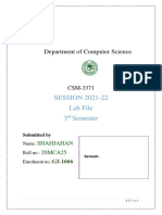 Final Lab Fle