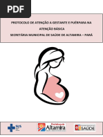 Cuidados na Gravidez e Puerpério DGS | PDF | Gravidez | Sistema de saúde