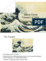 Indian Ocean Tsunami of 2004