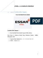 Essar Steel India Pvt. Ltd. Company Profile