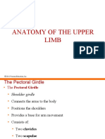 Anatomy of The Upper Limb: © 2012 Pearson Education, Inc