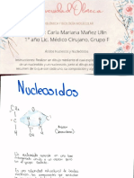 Acidos Nucleicos y Nucleótidos