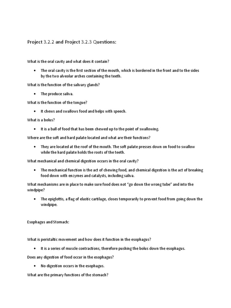 HBS Digestive System PDF Digestion Stomach