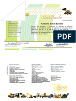 Certificado - Antonio Silva Martins 2020