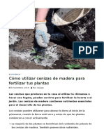 utilizar_cenizas_de_madera_para_fertilizar_tus_plant-job_5