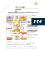 Sistema Cardiovascular I