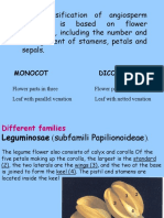 4 Flower of different families (1)