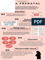 Infografia Desarrollo Pre Natal