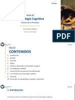 TEMA 10 PSICOLOGÍA COGNITIVA - Diapos