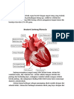 Anatomi dan Fungsi Ruang Jantung