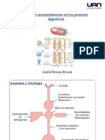 Aula Control Endocrino en El TGI Parte I