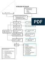 Tetralogy of Fallot Nursing Diagnosis and Management