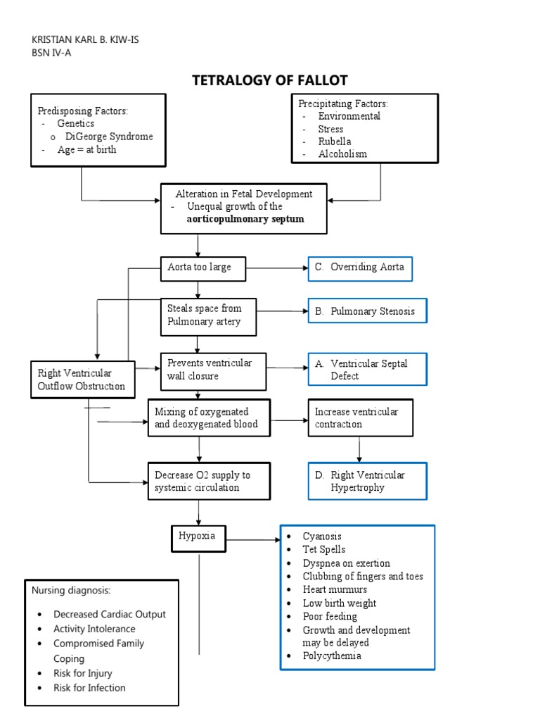 Tetralogy of Fallot Overview and Care | PDF | Medical Specialties ...