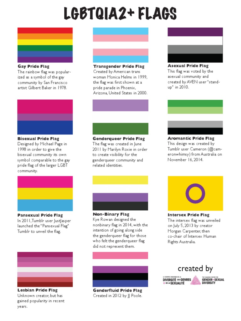 LGBTQIA2+ Pride Flags Overview | PDF | Social Science